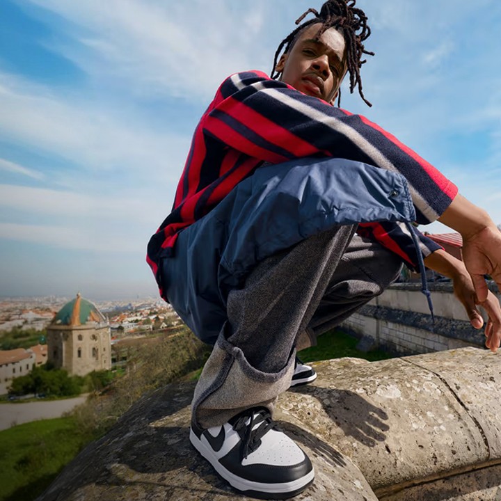 Utilize para nike dunk low