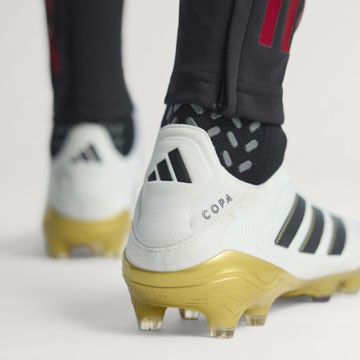 Utilice para ver más