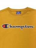 Camiseta Champion American Classics
