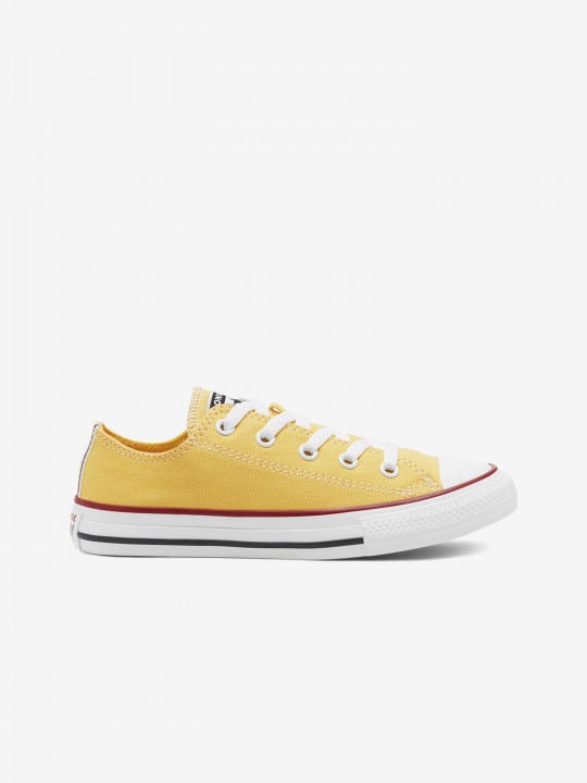Converse All Star Chuck Taylor Low Sneakers