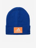 Adidas Logo Beanie