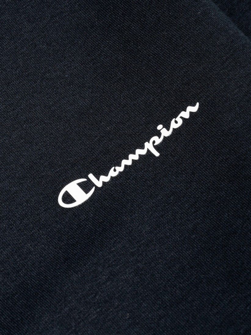 Champion Script Logo Sweater