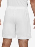 Nike Dri-FIT Academy Shorts