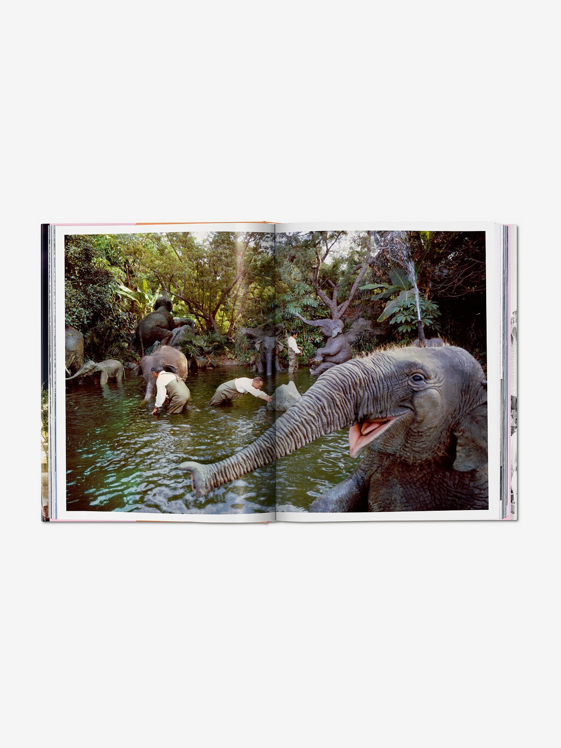 Livro Chris Nichols - Walt Disney's Disneyland