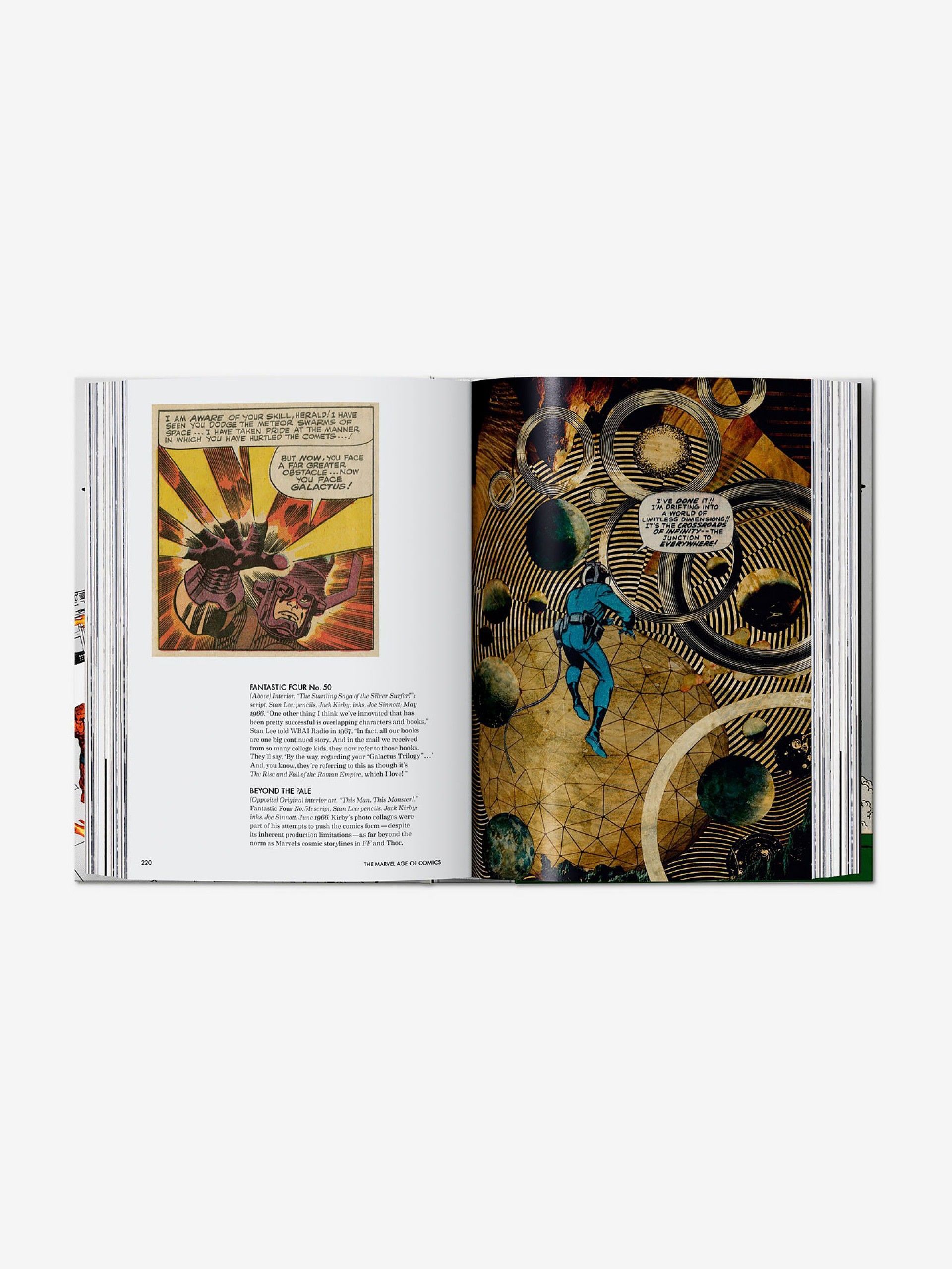 Livro Roy Thomas - The Marvel Age of Comics