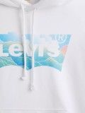 Levis Graphic Standard Sweater