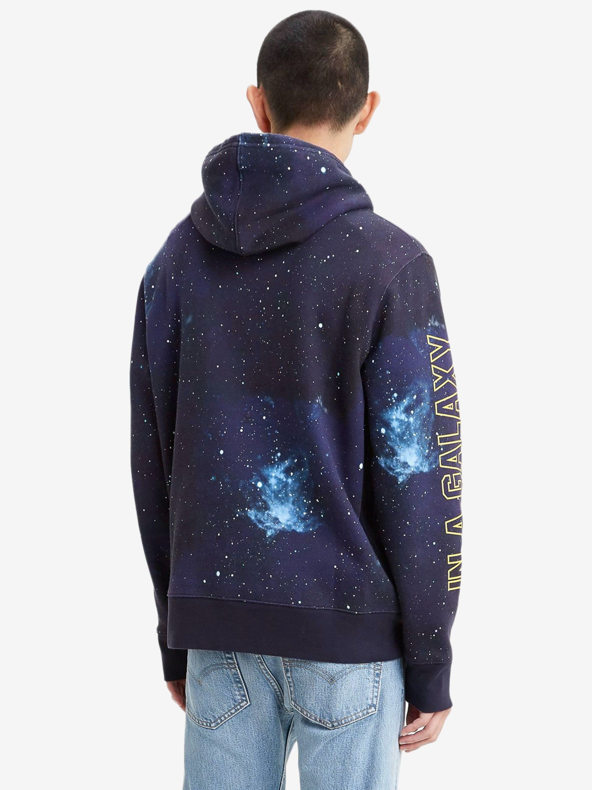 Levis Graphic Hoodie