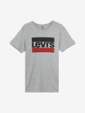 Levis Sportswear Logo Graphic T-Shirt