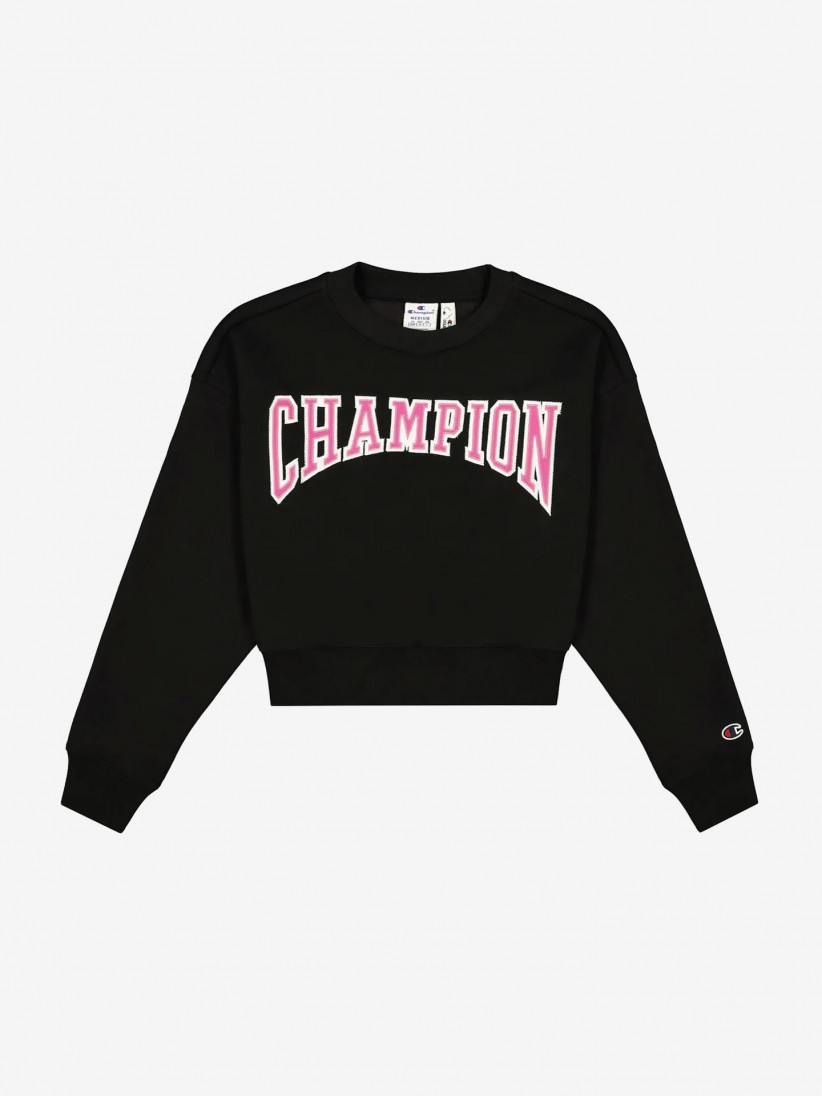 Champion University Sweater