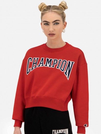 Champion University Sweater