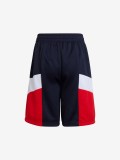 Adidas Spring Colorblock Shorts