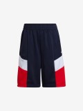 Adidas Spring Colorblock Shorts