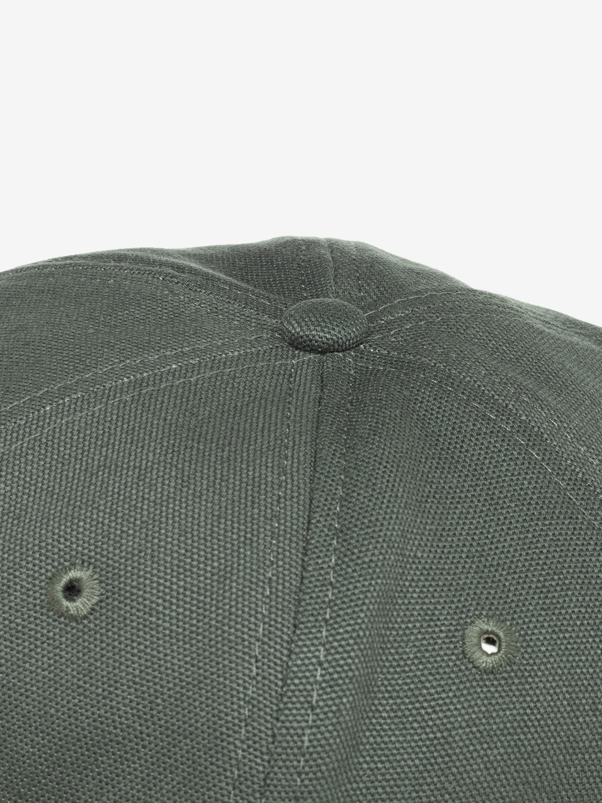 Gorra Carhartt WIP Worm