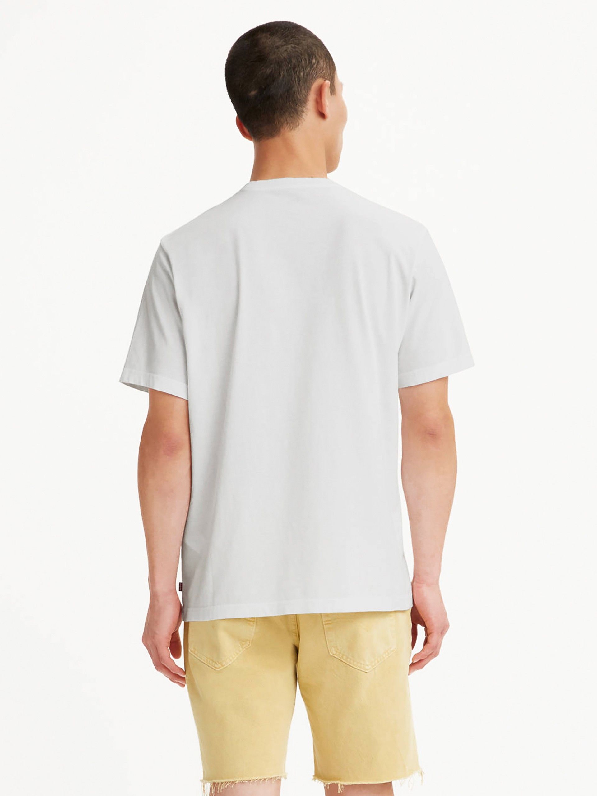 Levis Relaxed California T-shirt