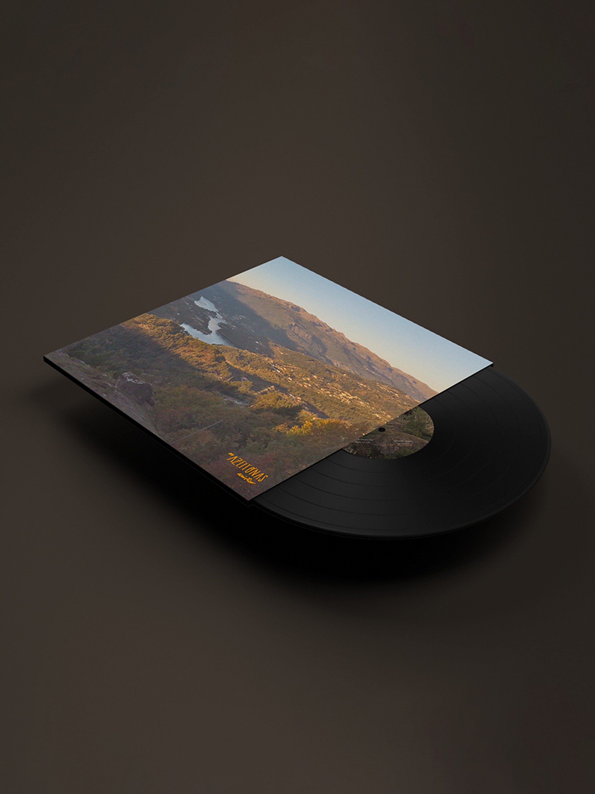 Disco de Vinil Os Azeitonas - Acústico