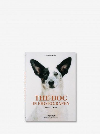 Raymond Merritt - BU The Dog In Photography 1839 - Today Book