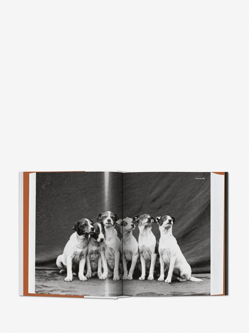 Libro Raymond Merritt - BU The Dog In Photography 1839 - Today