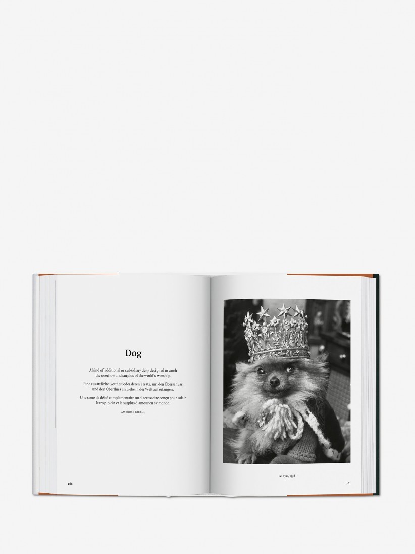 Libro Raymond Merritt - BU The Dog In Photography 1839 - Today