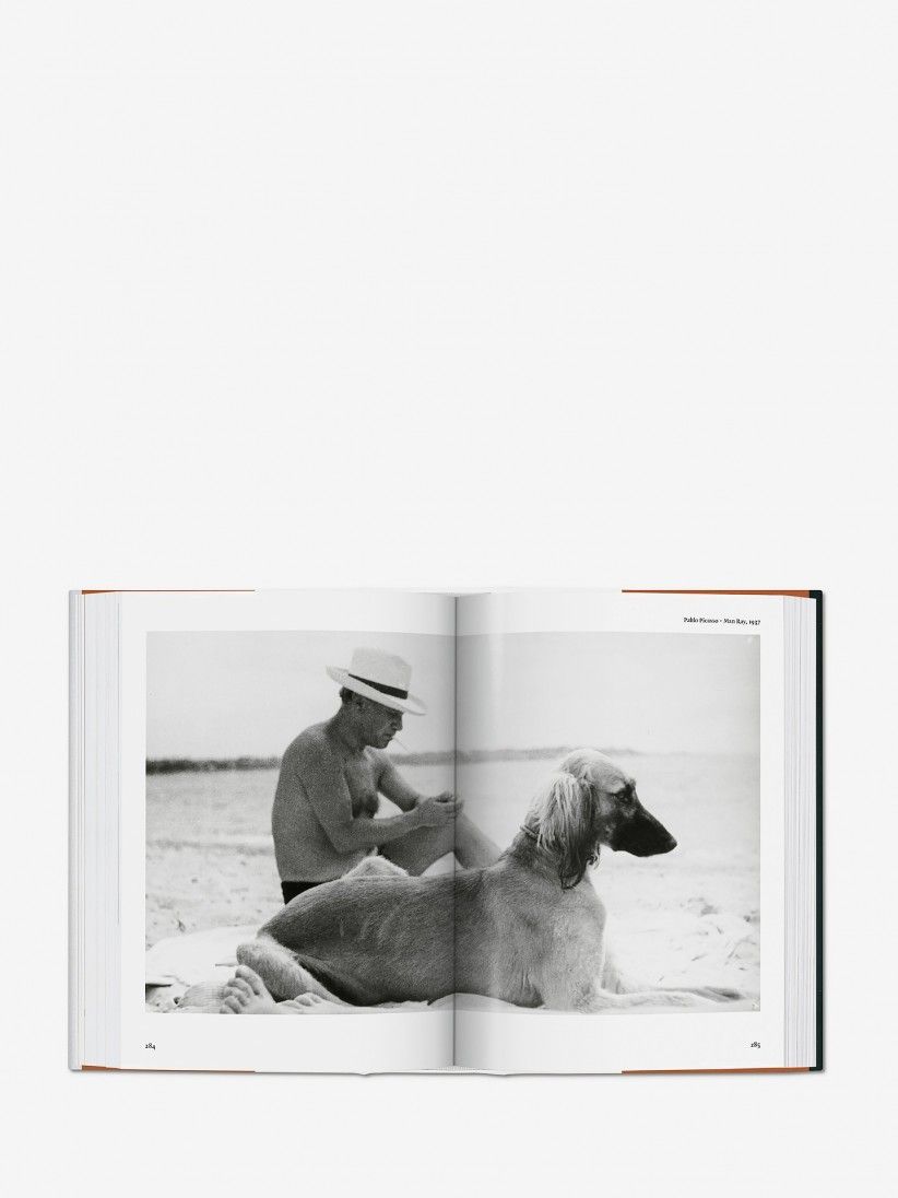 Raymond Merritt - BU The Dog In Photography 1839 - Today Book