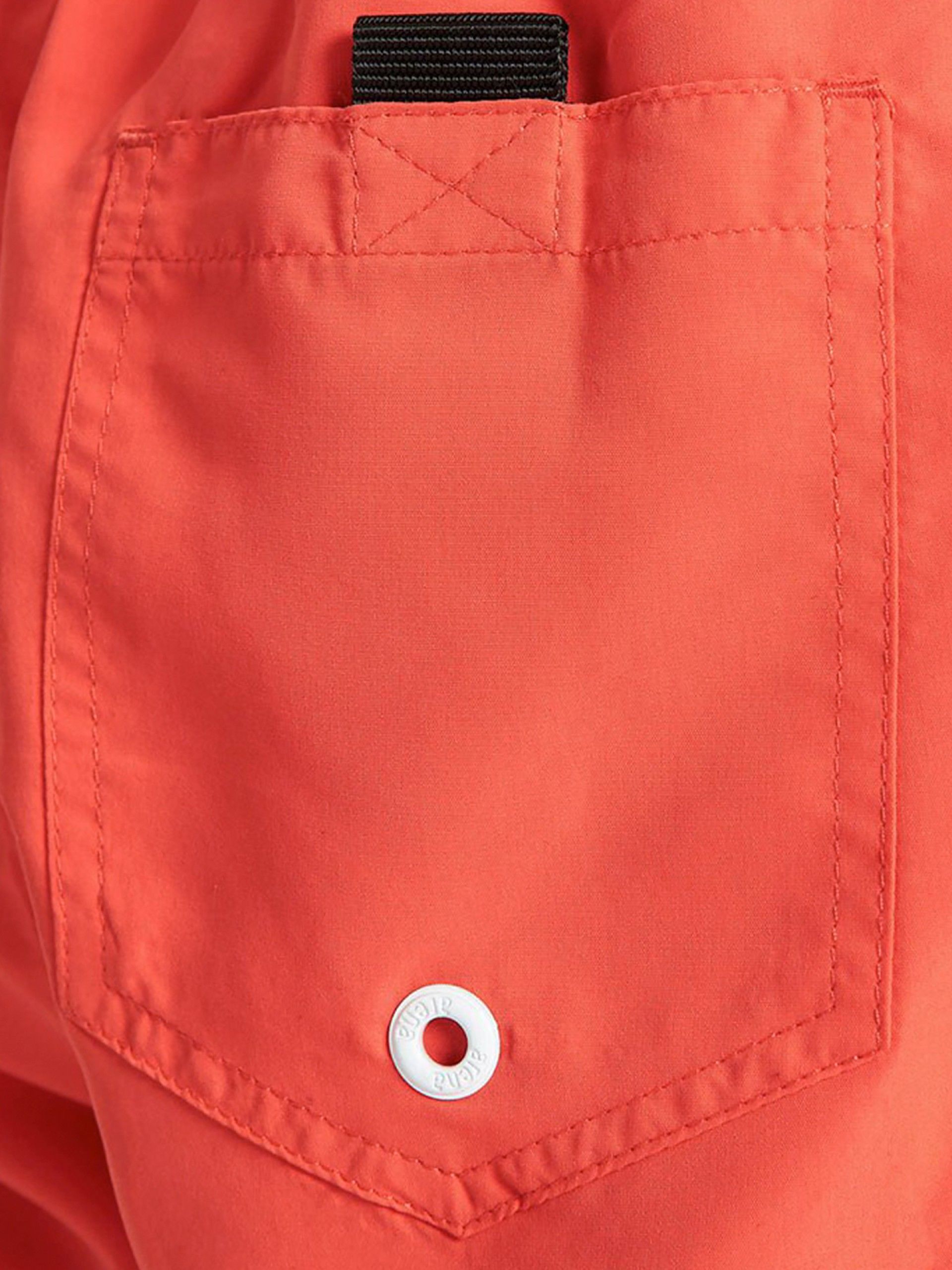 Arena Fundamentals Shorts