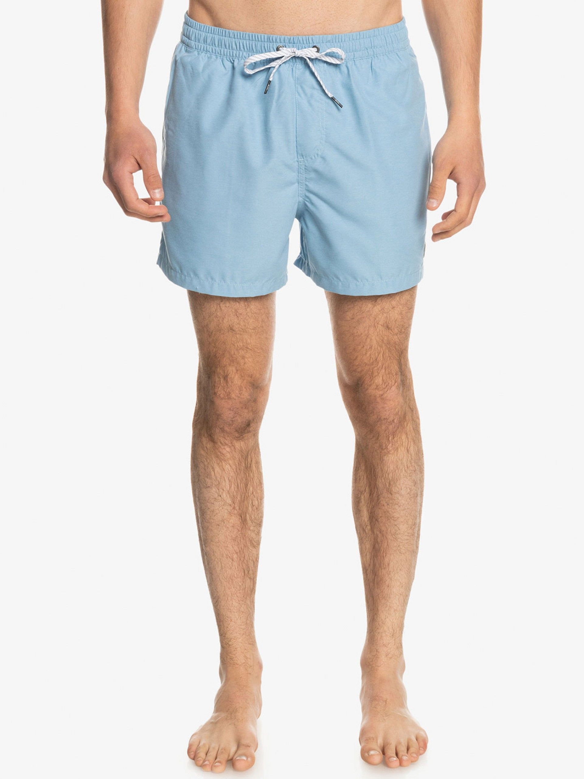 Quiksilver Everyday Volley Swimming Shorts