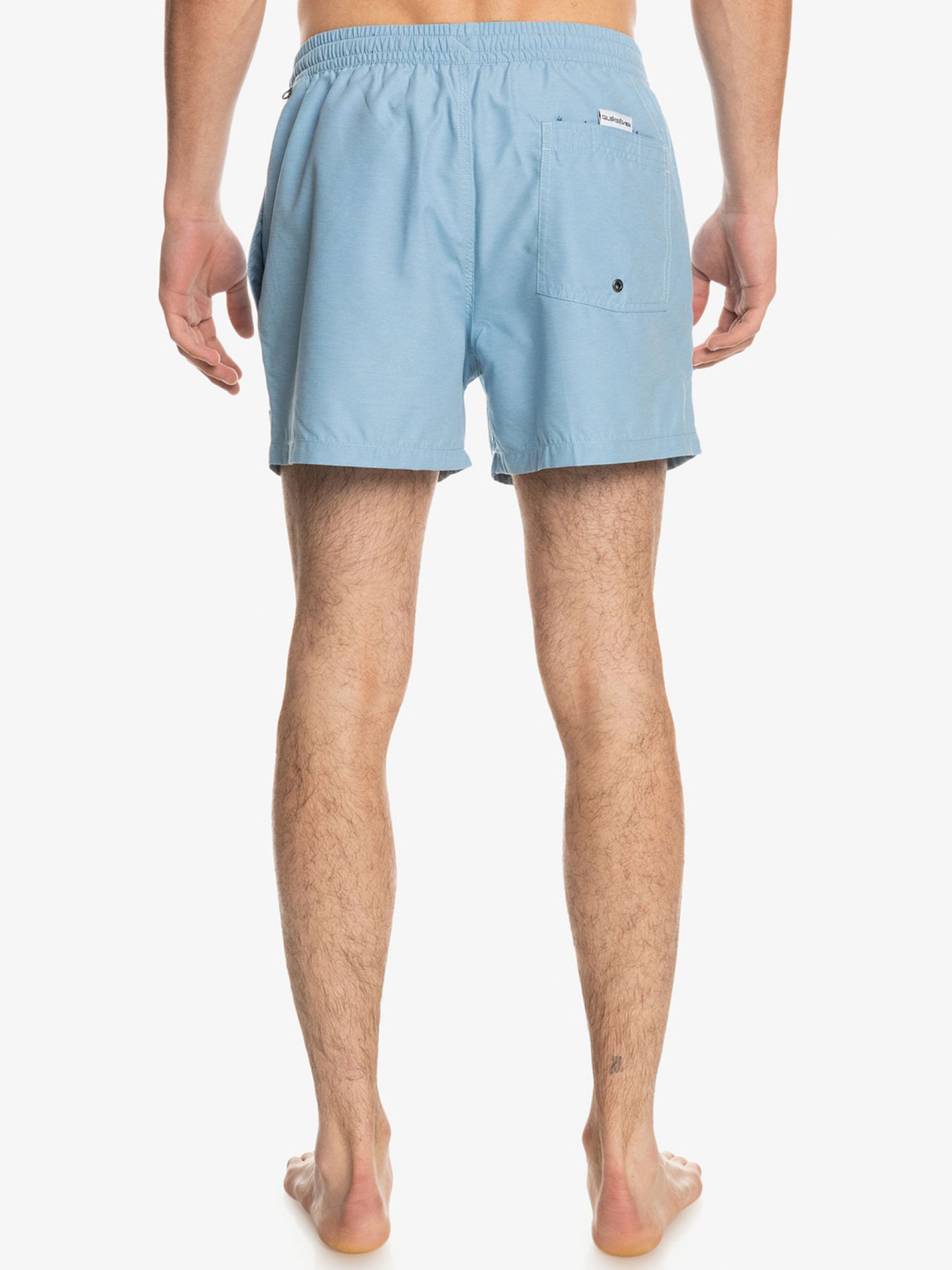 Quiksilver Everyday Volley Swimming Shorts