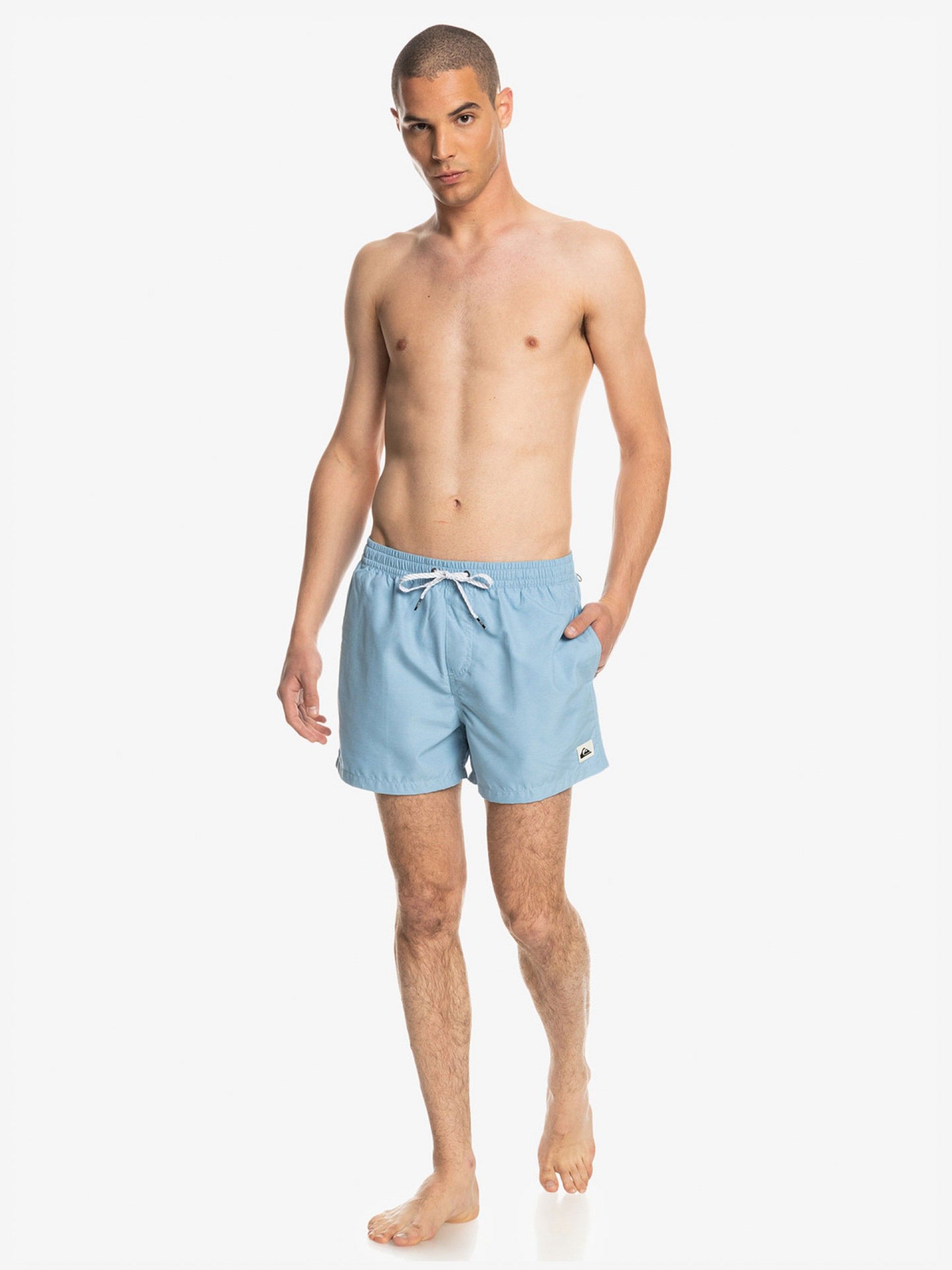 Quiksilver Everyday Volley Swimming Shorts