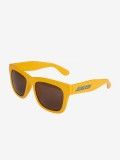 Santa Cruz Classic Strip Sunglasses