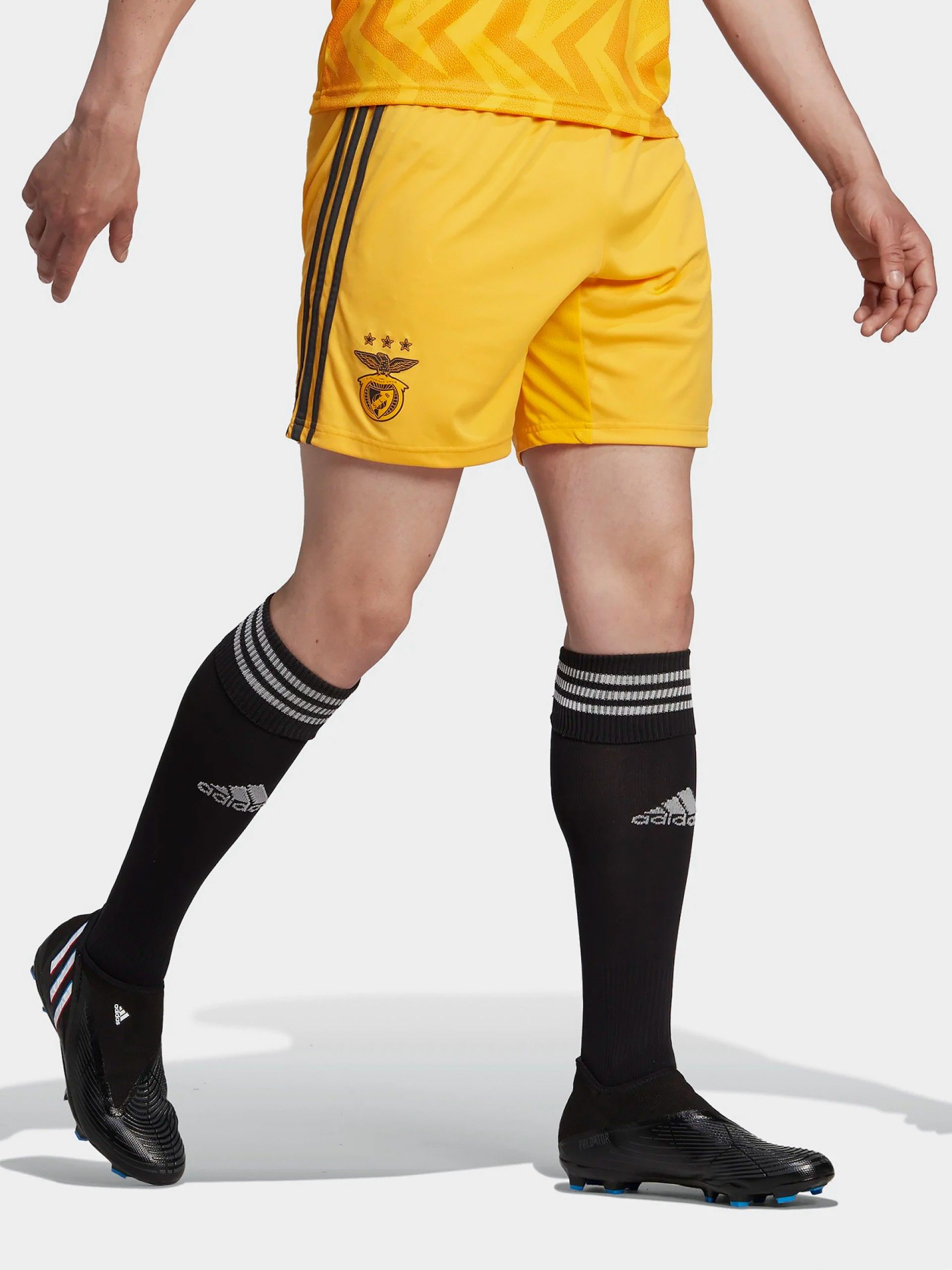 Adidas Equipamento Alternativo S. L. Benfica Away 22/23 Shorts