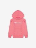 Champion Legacy American Classics Kids Sweater