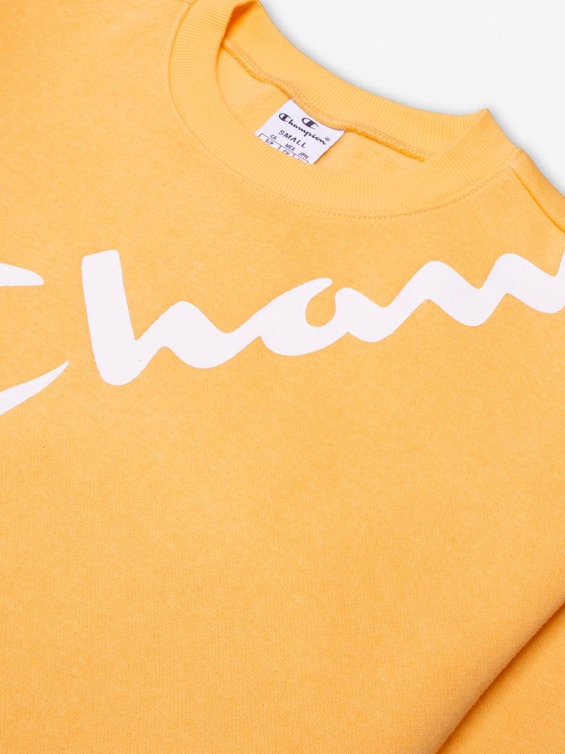 Champion Legacy Diagonal Script Logo Sweater