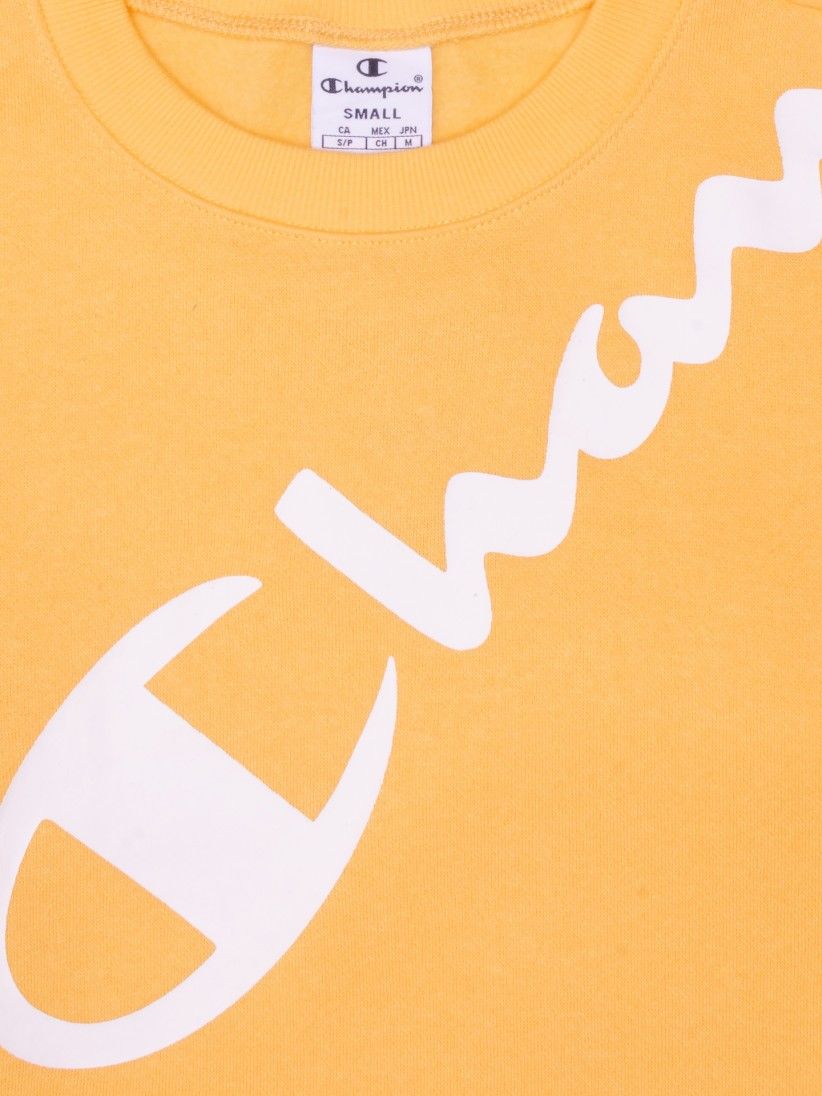 Champion Legacy Diagonal Script Logo Sweater