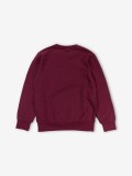 Champion Legacy American Classics Kids Sweater