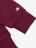 Champion Legacy American Classics Kids Sweater