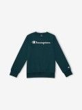 Champion Legacy American Classics Kids Sweater