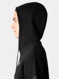 The North Face Seasonal Hood Short Sleeve Hoodie