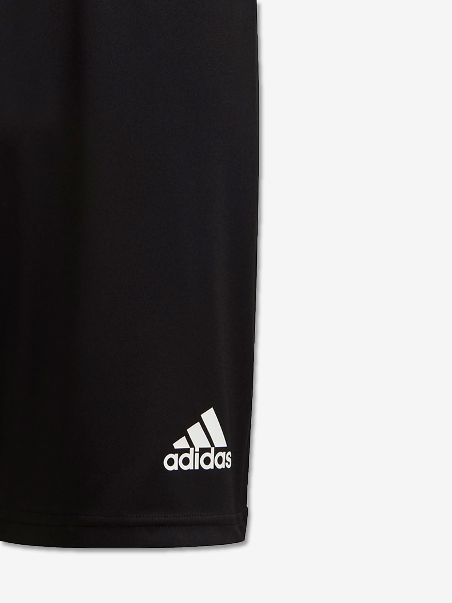 Adidas Squadra 21 Shorts