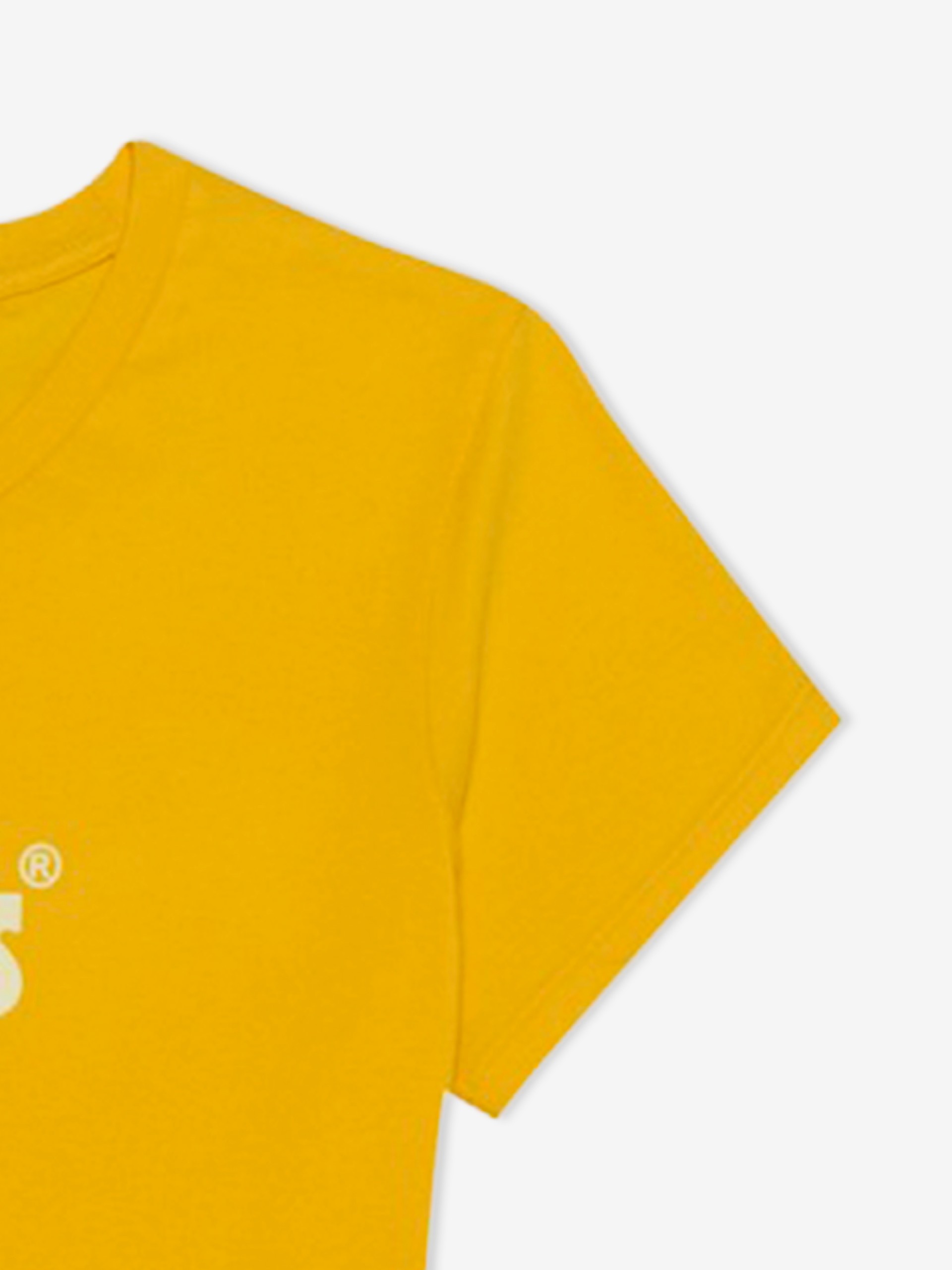 T-shirt Levis The Perfect Tee