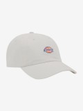 Gorra Dickies Hardwick