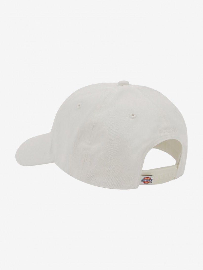 Gorra Dickies Hardwick