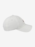 Gorra Dickies Hardwick