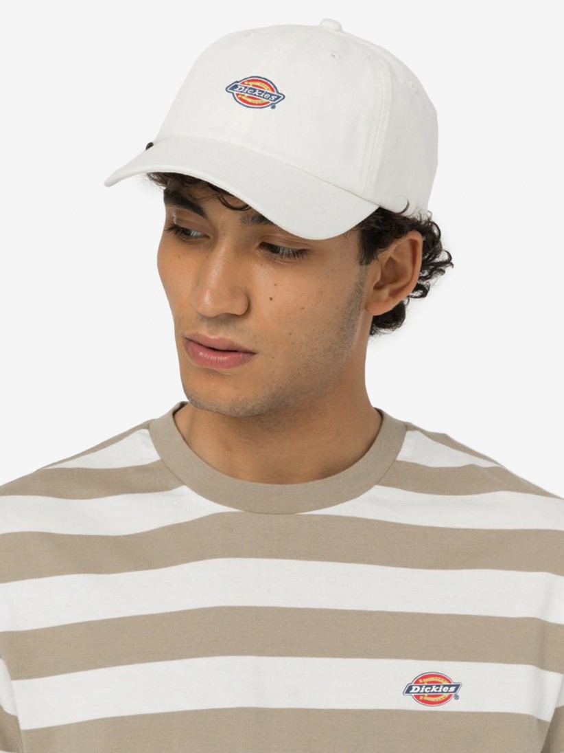 Gorra Dickies Hardwick