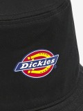 Chapu Dickies Stayton