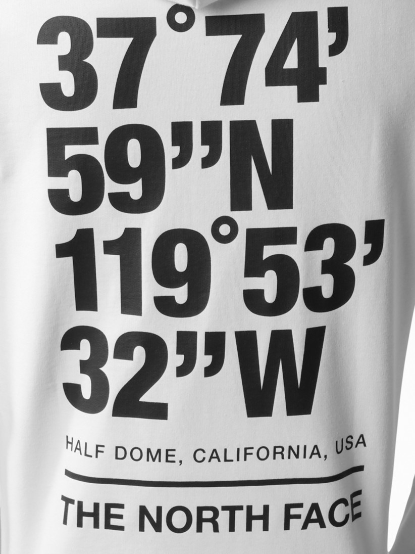 The North Face Coordinates Hood Hoodie