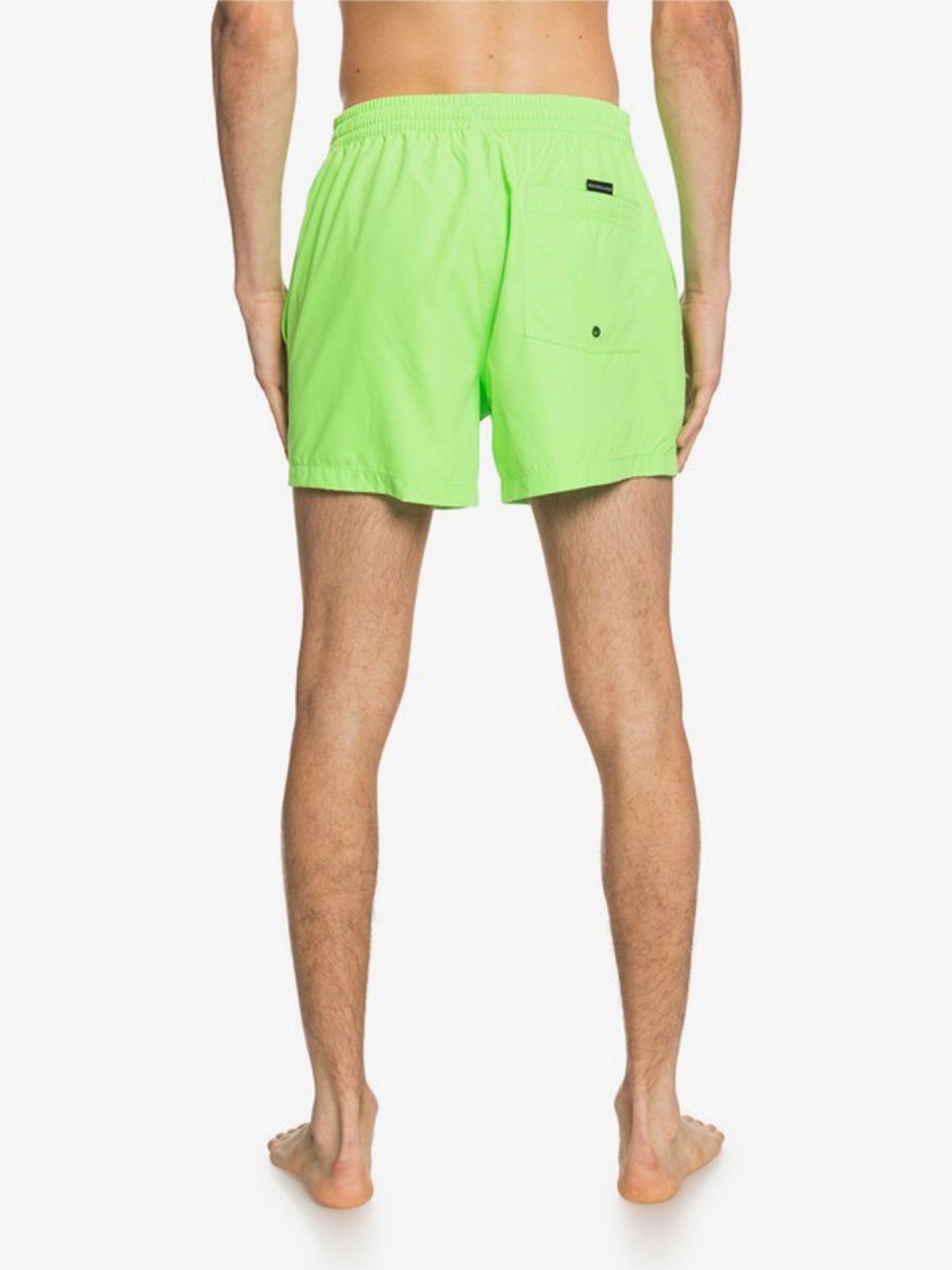 Bañador Quiksilver Everyday Volley