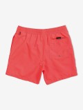 Quiksilver Everyday Volley Youth 13 Swimming Shorts