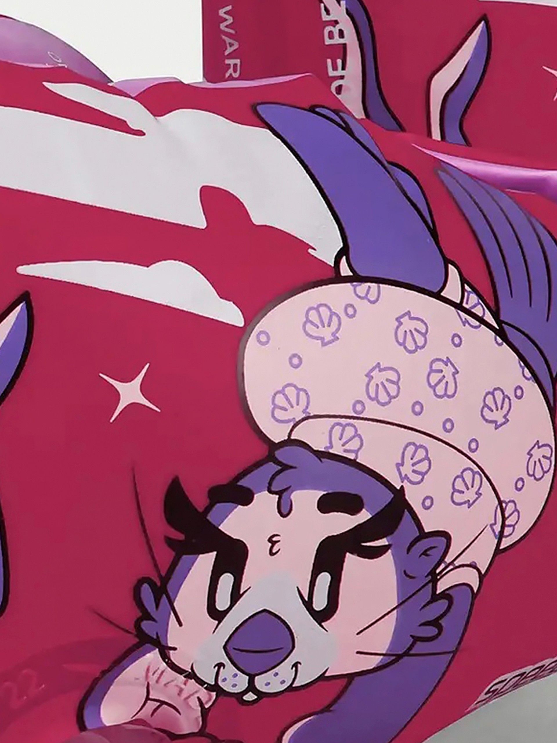 Braçadeiras de Natação Speedo Character Printed Kids