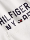Camiseta Tommy Hilfiger Sport Graphic