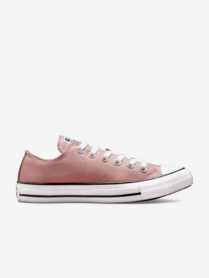 Converse Chuck Taylor Low Sneakers