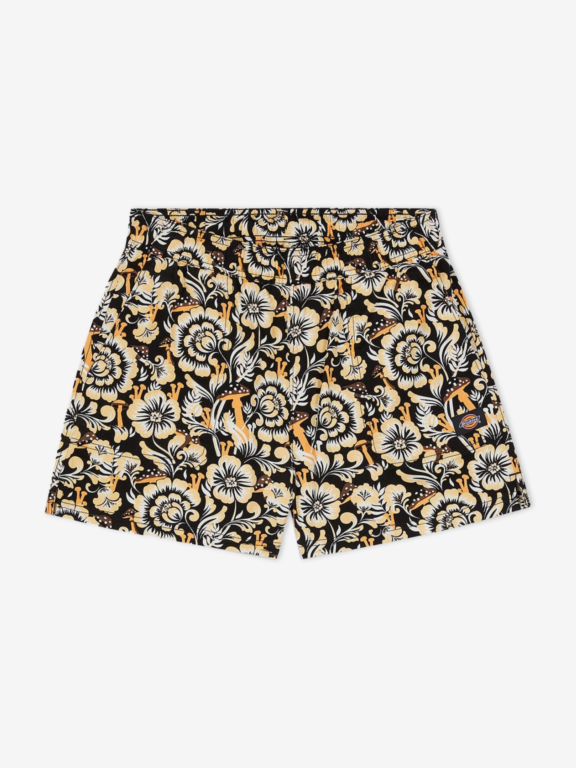 Dickies Roseburg Shorts